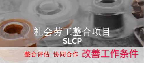 SLCP驗廠咨詢全解析 蘇州綠加環保的技術支持與高清圖像應用